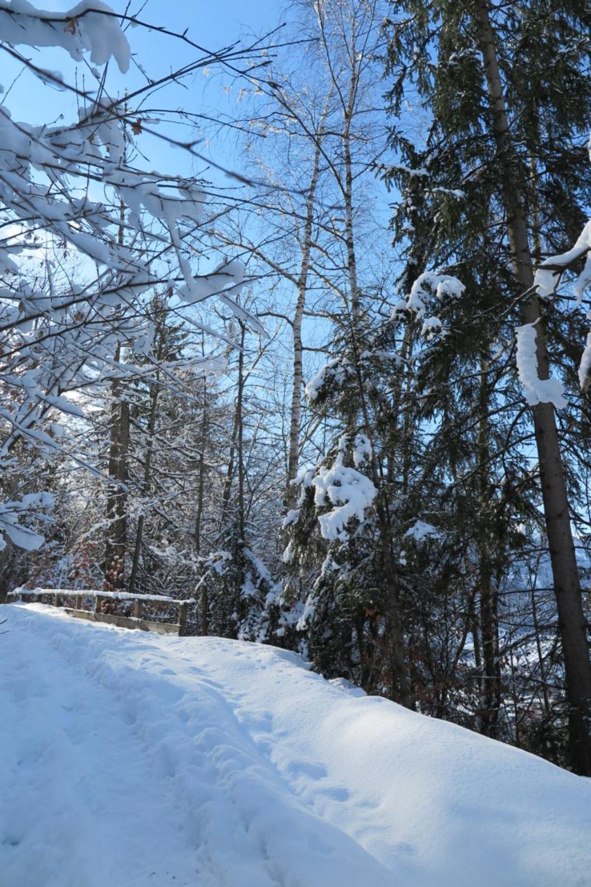 Apartamento Haus Enzian Sankt Johann im Pongau Exterior foto