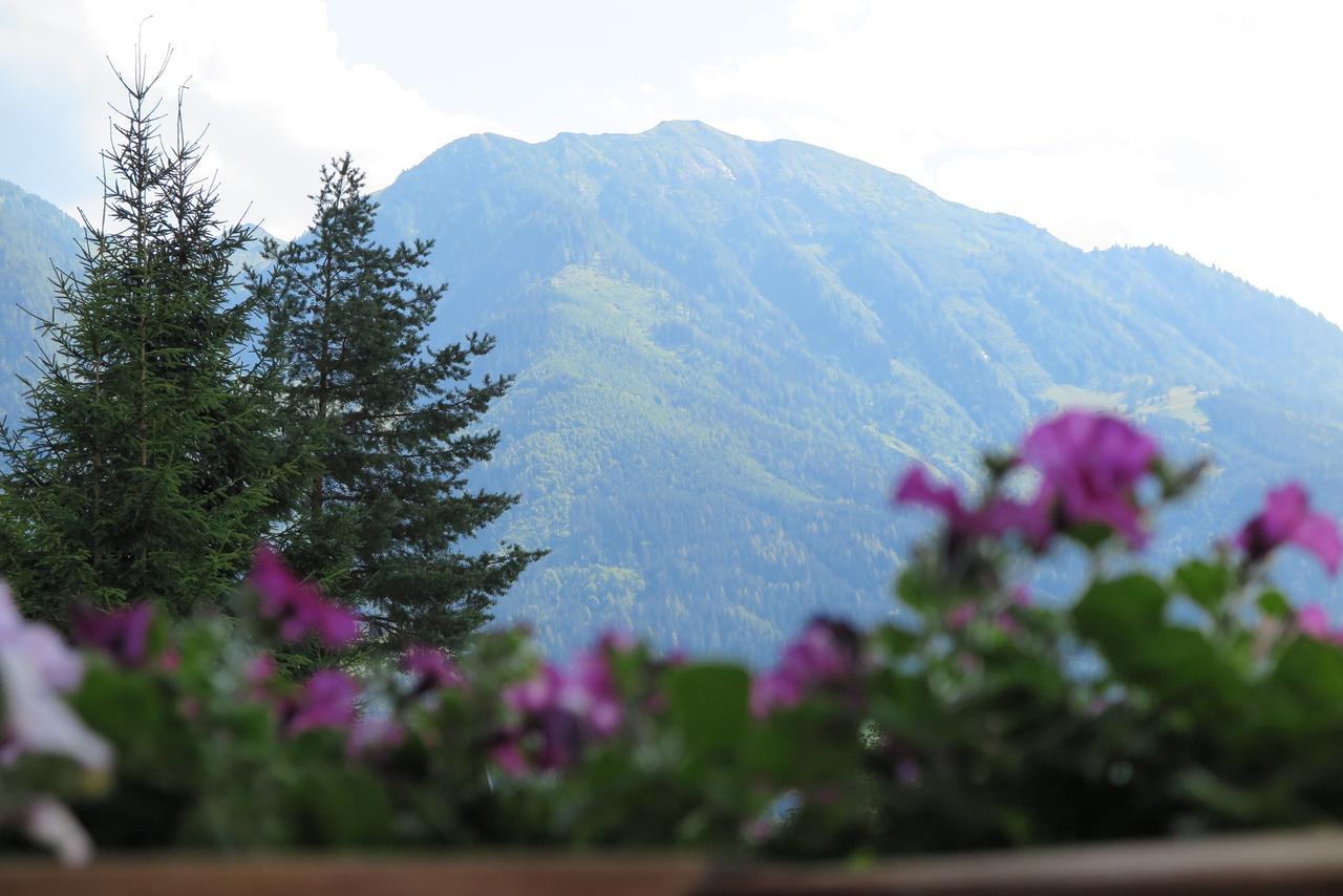 Apartamento Haus Enzian Sankt Johann im Pongau Exterior foto