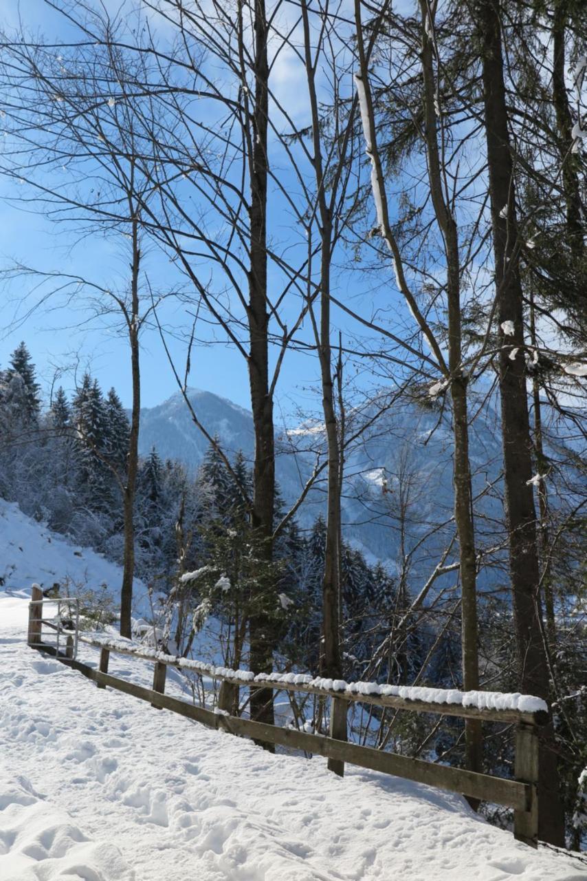 Apartamento Haus Enzian Sankt Johann im Pongau Exterior foto